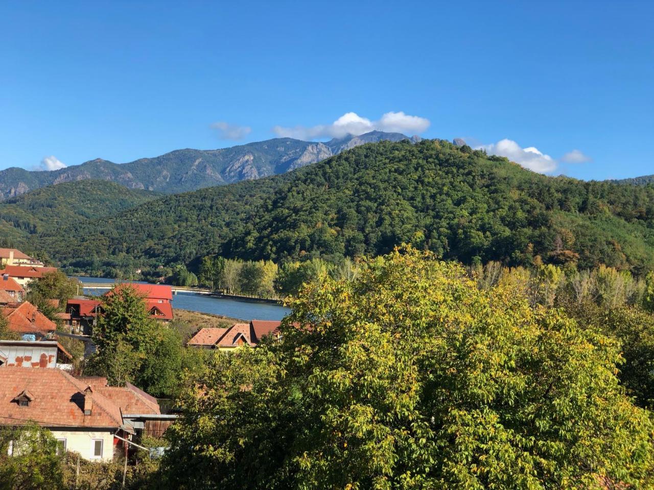 Apartament Belvedere Călimăneşti Bagian luar foto